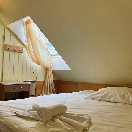Otel Geo